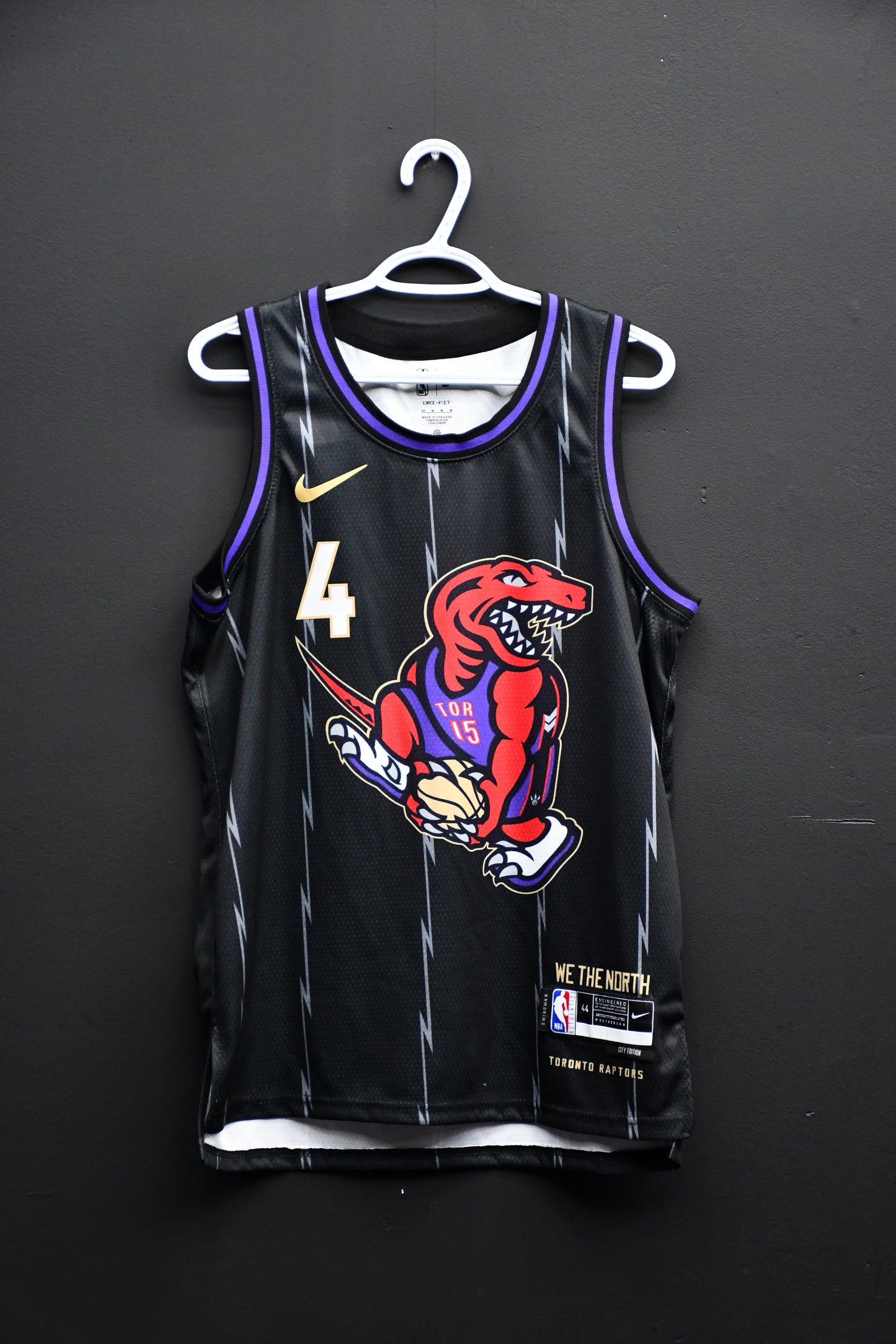 Raptors Jersey City Edition